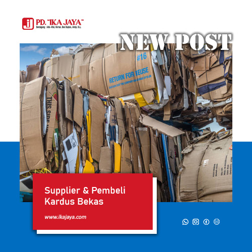 supplier pembeli kardus bekas